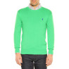 Sweater Polo Ralph Lauren green